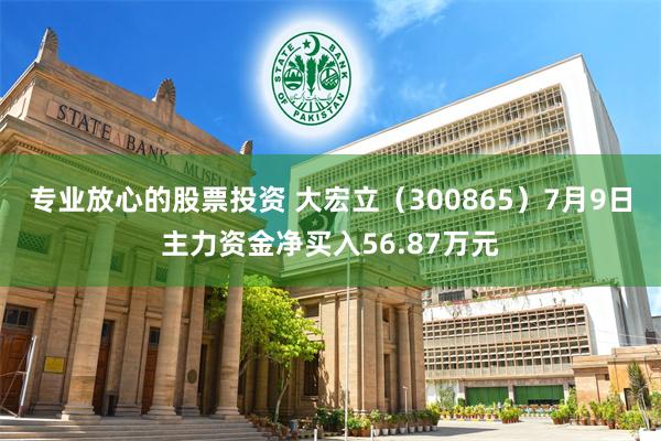 专业放心的股票投资 大宏立（300865）7月9日主力资金净买入56.87万元