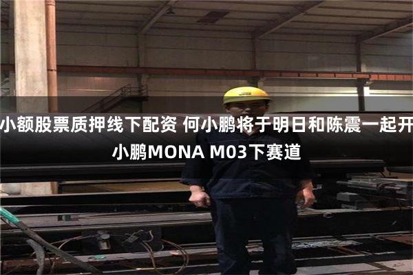 小额股票质押线下配资 何小鹏将于明日和陈震一起开小鹏MONA M03下赛道