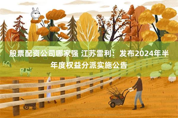 股票配资公司哪家强 江苏雷利：发布2024年半年度权益分派实施公告