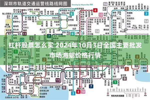 杠杆股票怎么买 2024年10月3日全国主要批发市场海蛎价格行情